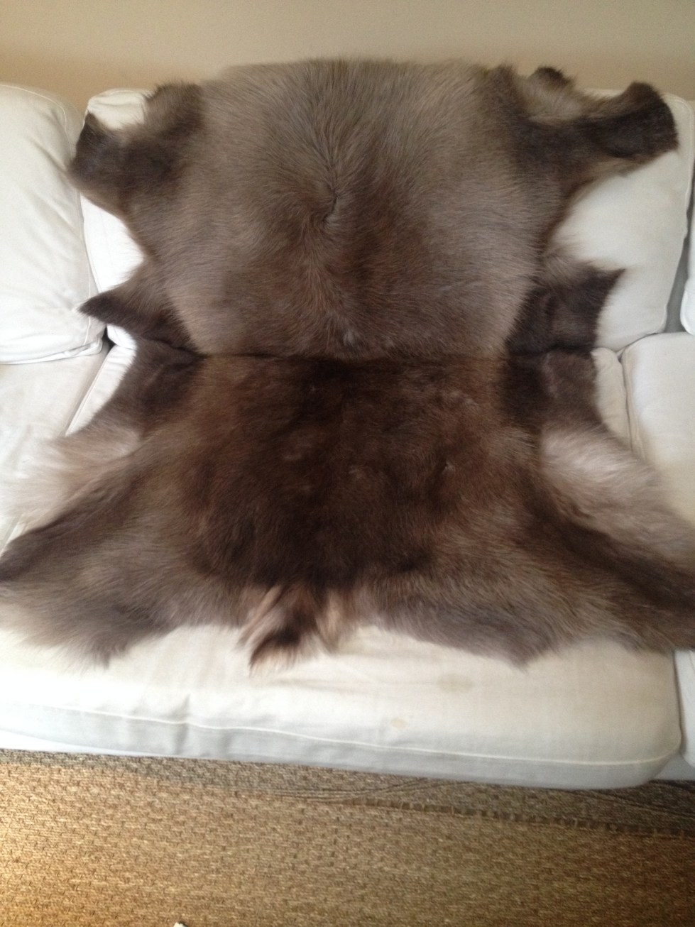 iphone stockholm and berlin 183