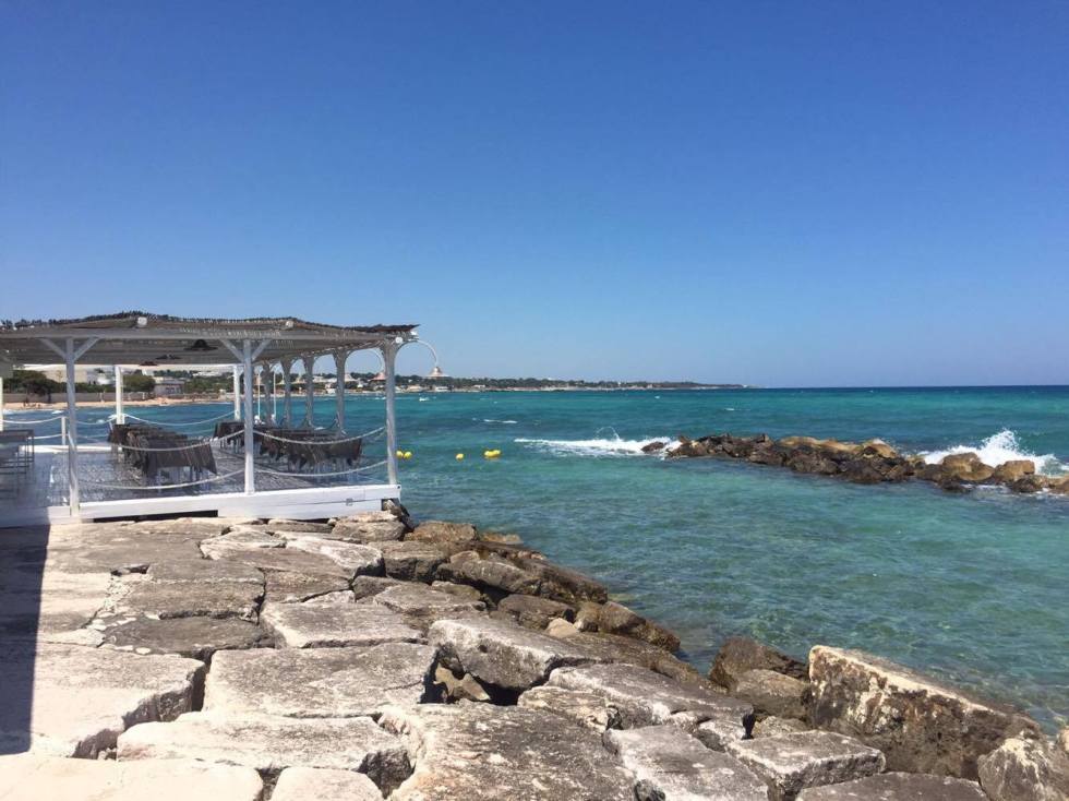 21146548_10159090594430532_93084033_o