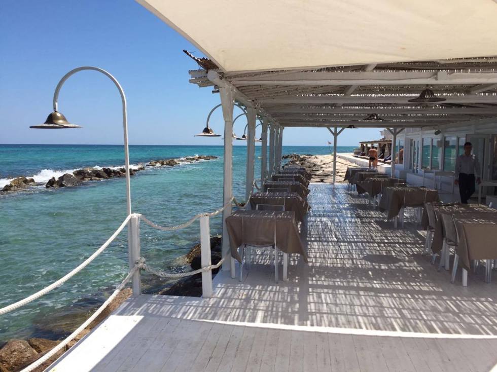 21169362_10159090594245532_441274433_o