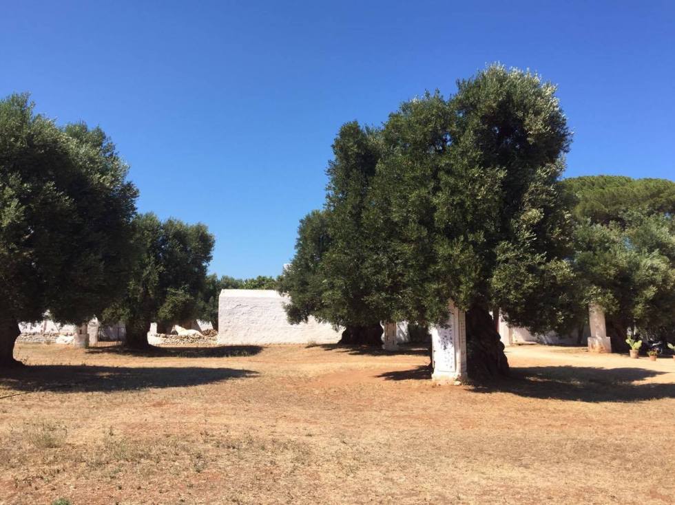 21171111_10159089712410532_27406841_o